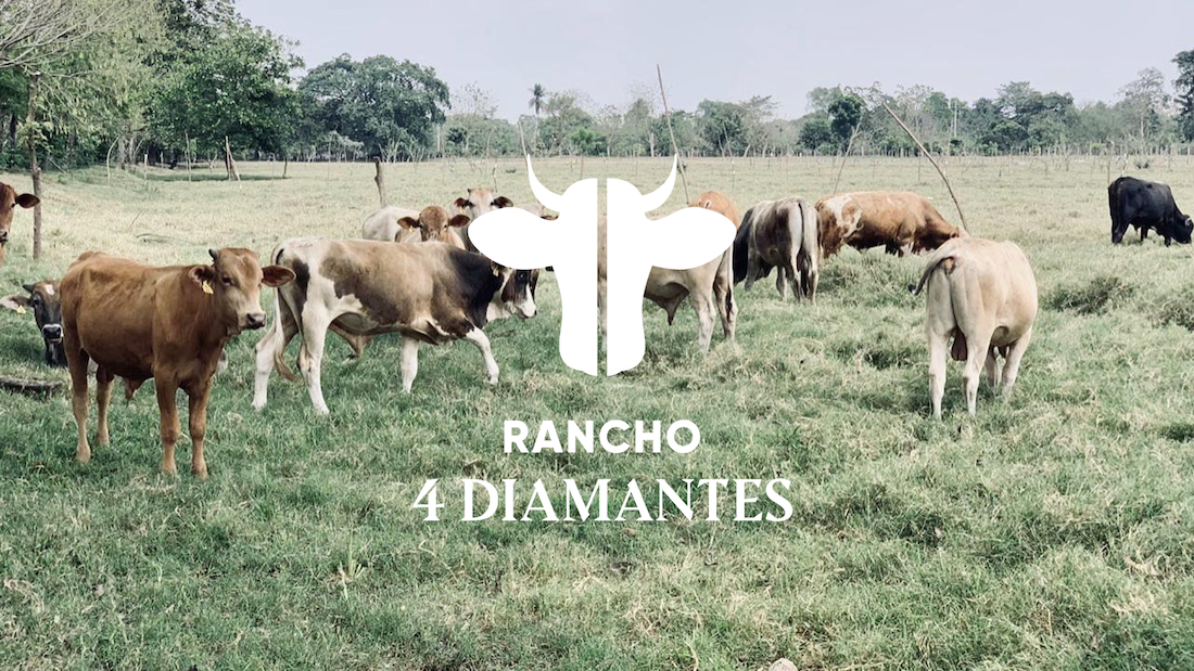 Rancho 4 Diamantes